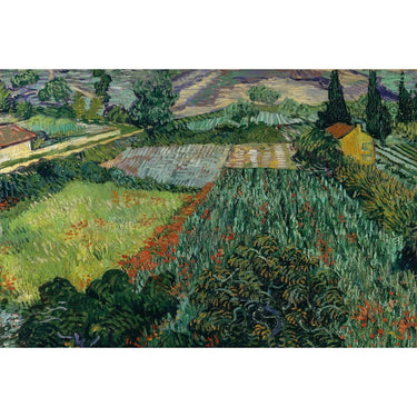 Field of Poppies Canvas Van Gogh